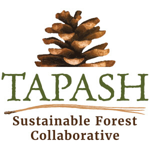Tapash-Sustainable-Forest-Collaborative