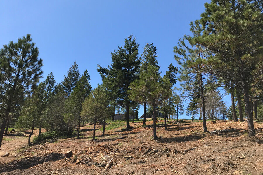 Kittitas Fire Adapted Communities Coalition - defensible space